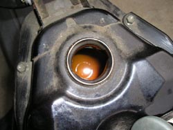 03010100.p1010010~1 のコピー.jpg