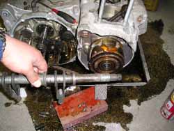 03010100.p1010011~1 のコピー.jpg