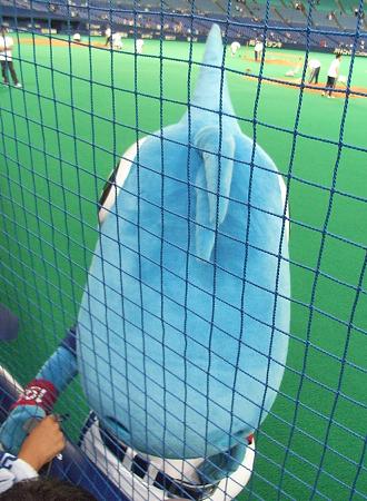 あんま近づけない