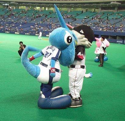 礼儀正しいｼｬｵﾀｿ