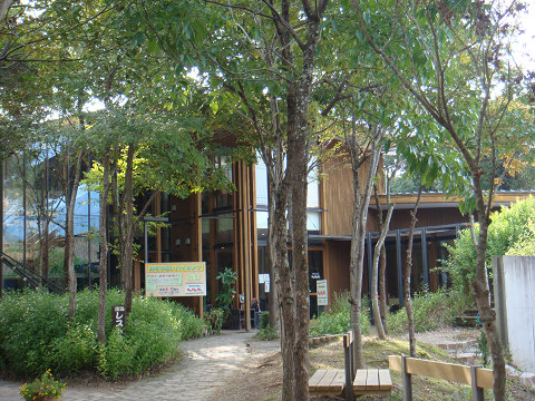 resize1424.jpg