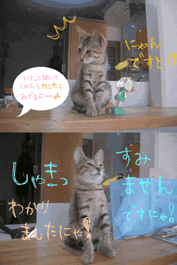 4コマ２.gif