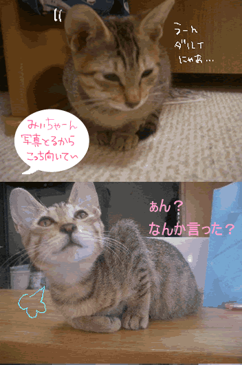 4コマ１.gif