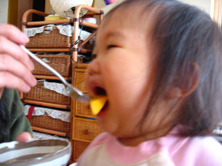 マンゴーを食べる娘