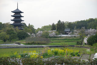 国分寺