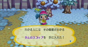 2008.12どうぶつの森写真集 061.jpg