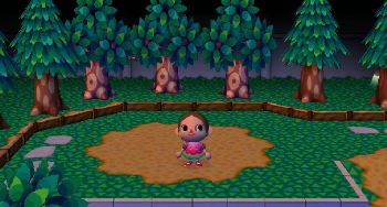 2008.12どうぶつの森写真集 054.jpg