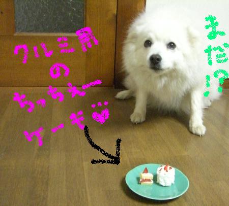 クリスマスけーキ.JPG