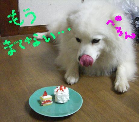 まてない.JPG