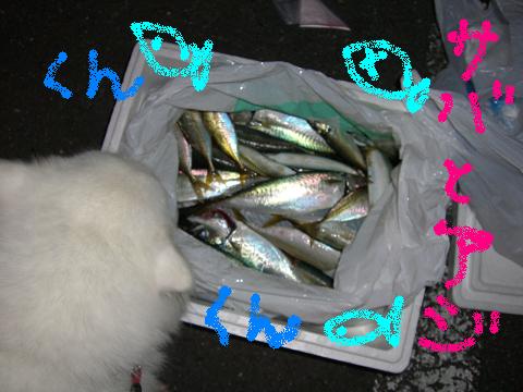 CIMG2478.JPG
