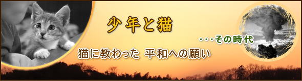 少年と猫、猫に教わった平和への願い