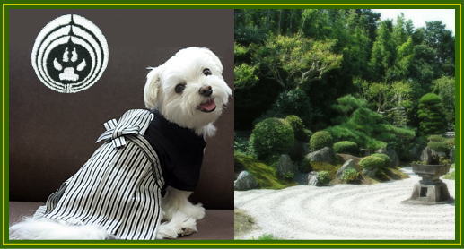犬用着物 犬用kimono 振袖 羽織袴特集 犬の洋服 ペットと快適に暮らす 楽天ブログ