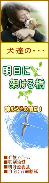 明日に架ける橋、諦めるその前に