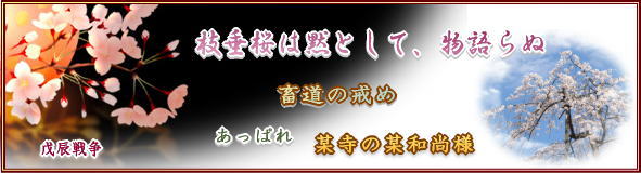 枝垂桜は、黙として物語らぬ