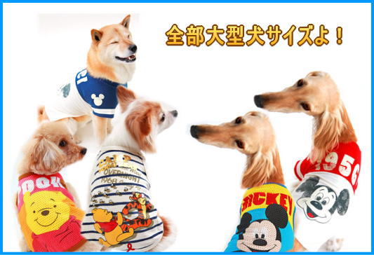 大型犬、可愛キャラ着用ミッキー他