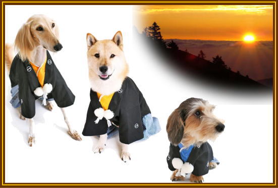 犬猫用着物ver 3 振袖 羽織袴特集 犬服 犬の洋服 ペットと快適に暮らす 楽天ブログ