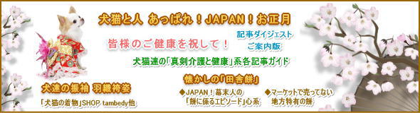 2012のお正月に向けて犬猫と人_あっぱれJAPANお正月