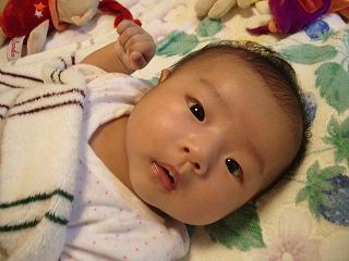 2007_0701画像 001.jpg