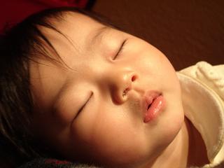 コピー ～ 2008_0202画像 021.jpg