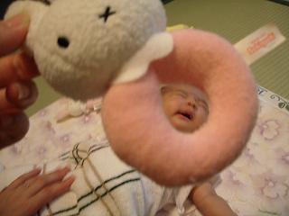 2007_0701画像 004.jpg