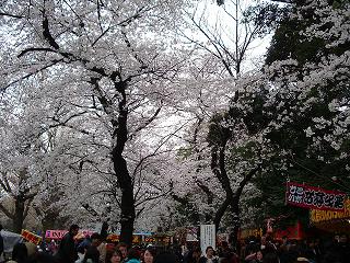 2008_0330画像 003.jpg