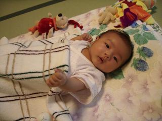 コピー ～ 2007_0701画像 003.jpg