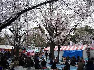 2008_0330画像 004.jpg