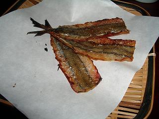 2008_0211画像 038.jpg