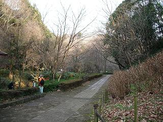 2007_0127画像0008.JPG