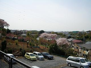 2008_0405画像 004.jpg