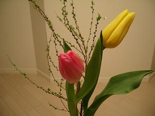 2007_0118画像0005.JPG
