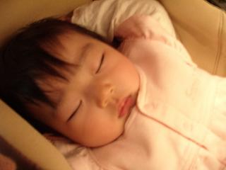 コピー ～ 2008_0301画像 020.jpg