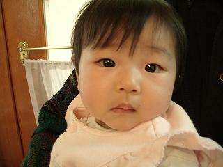 コピー ～ 2008_0301画像 015.jpg