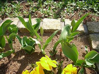 2008_0405画像 019.jpg