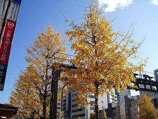 2007_1215画像 005.jpg