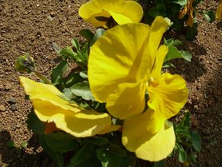 2008_0405画像 020.jpg