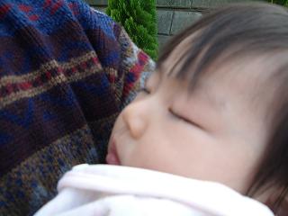 2008_0405画像 023.jpg