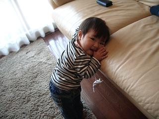 コピー ～ 2008_0307画像 004.jpg