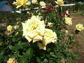 2007_1104画像 013.jpg