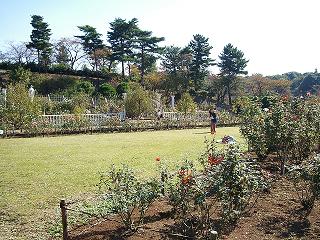 2007_1104画像 014.jpg