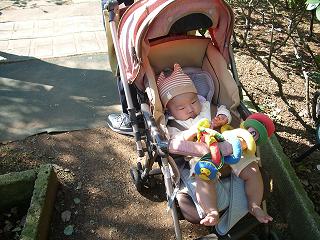 2007_1104画像 025.jpg