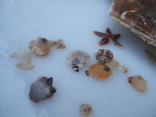 DSCF6706.JPG