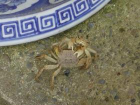 ブログ掲載フォト5 087.jpg