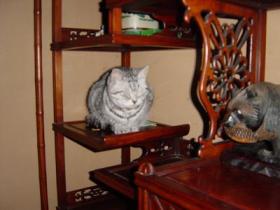 ブログ掲載フォト5 088.jpg