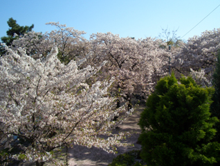 岡本・夙川