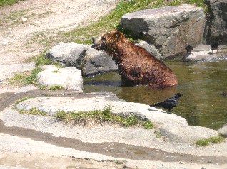 アドベンチャーワールド