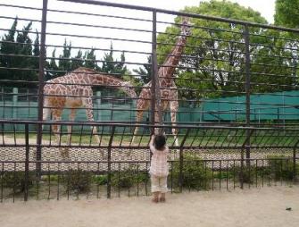 姫路動物園