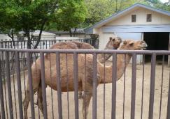 姫路動物園