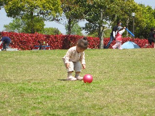 ひまわりの丘公園