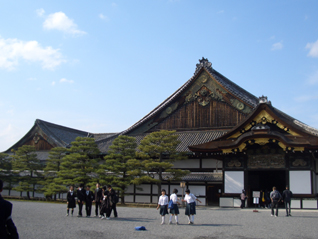 京都桜